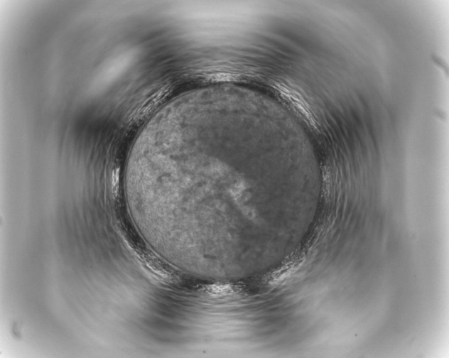 X0000093400406200711020939