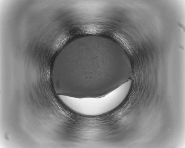 X0000093400407200711020939