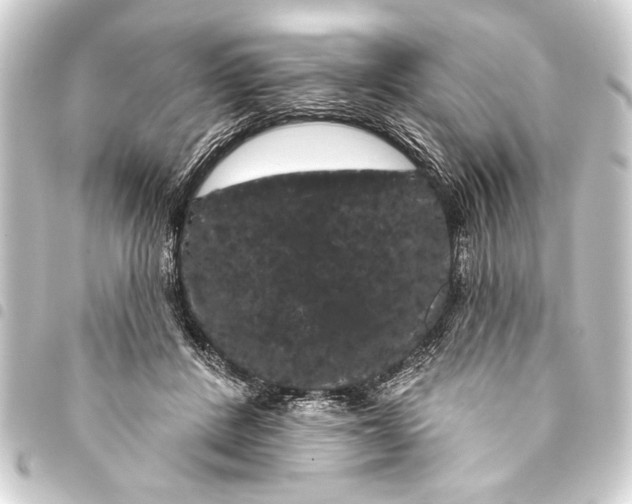 X0000093400408200711020939