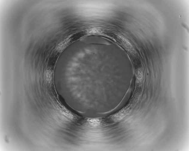 X0000093400409200711020939