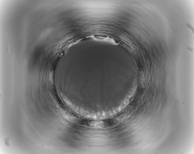 X0000093400410200711020939