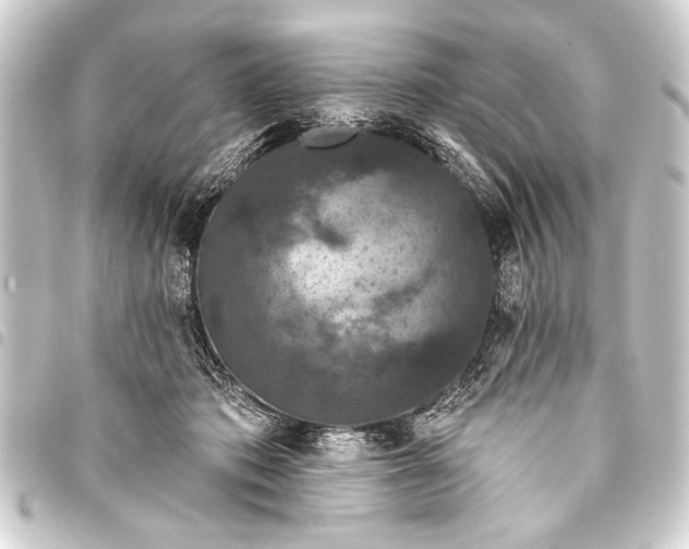 X0000093400413200711020939