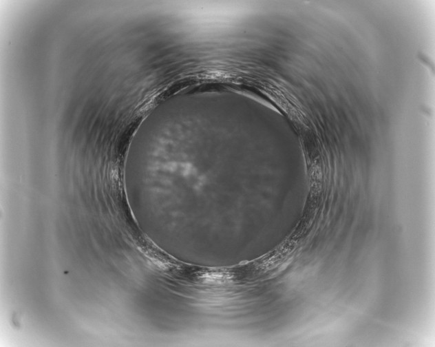 X0000093400415200711020939