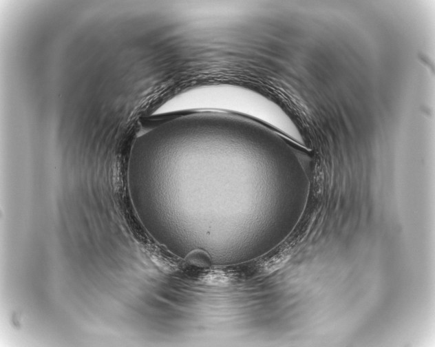 X0000093400416200711020939