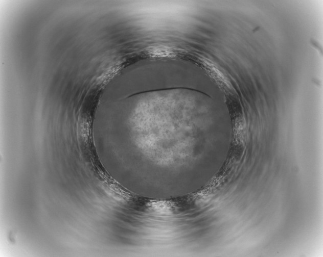 X0000093400417200711020939