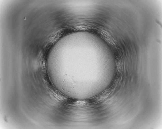 X0000093400418200711020939