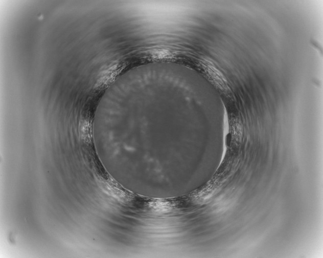 X0000093400419200711020938