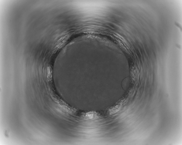 X0000093400420200711020938