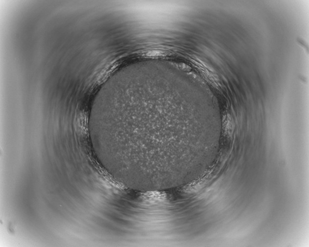 X0000093400421200711020938