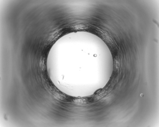 X0000093400422200711020938