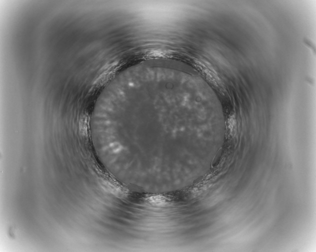 X0000093400423200711020938