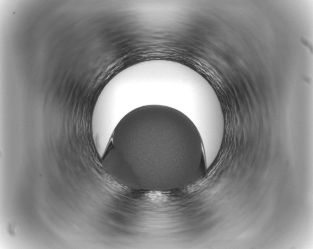 X0000093400425200711020938