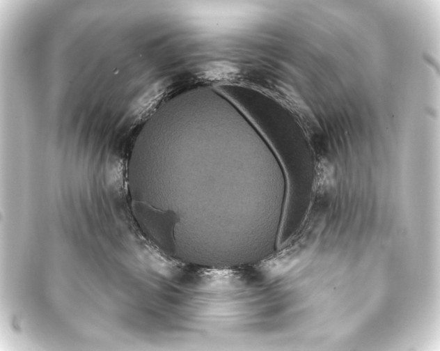 X0000093400428200711020938