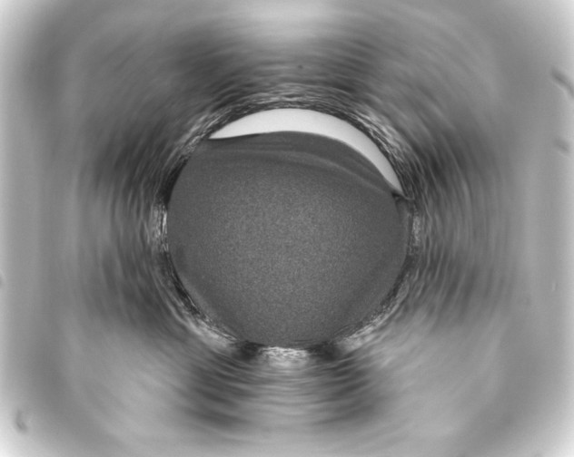 X0000093400429200711020938