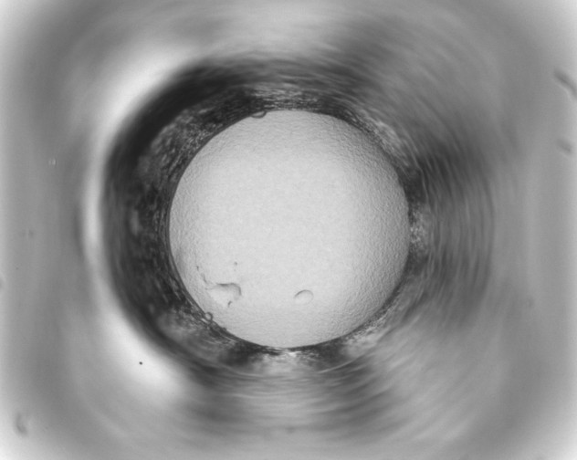 X0000093400430200711020938