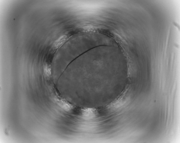 X0000093400432200711020938