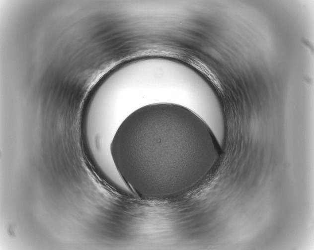 X0000093400436200711020938