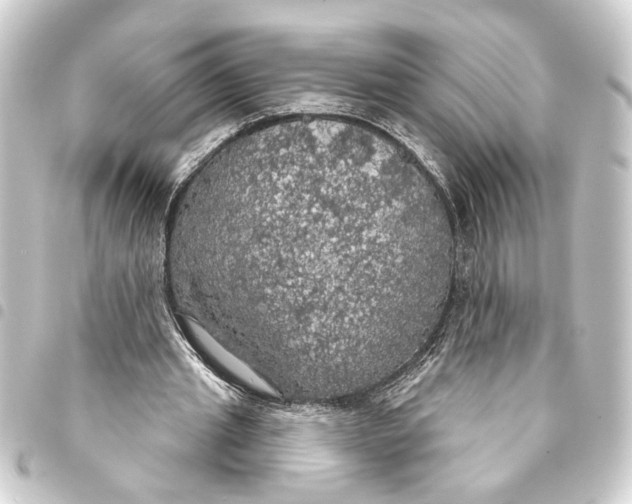 X0000093400437200711020938