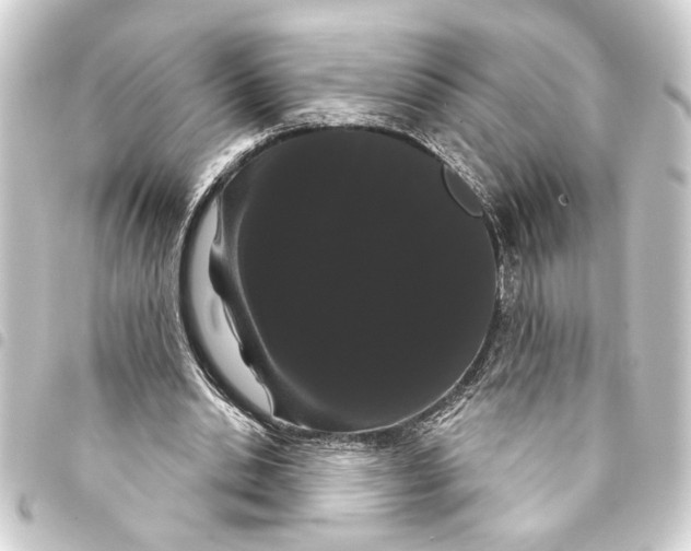 X0000093400438200711020938