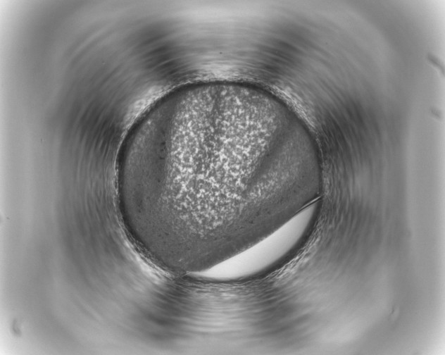 X0000093400439200711020938