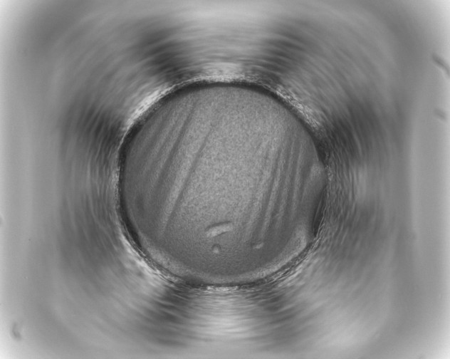 X0000093400440200711020938