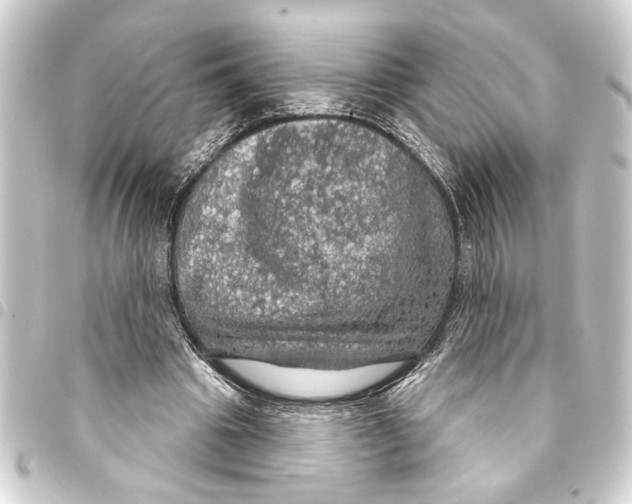 X0000093400441200711020938