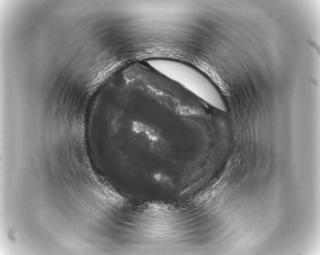 X0000093400442200711020938