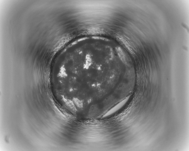 X0000093400443200711020938