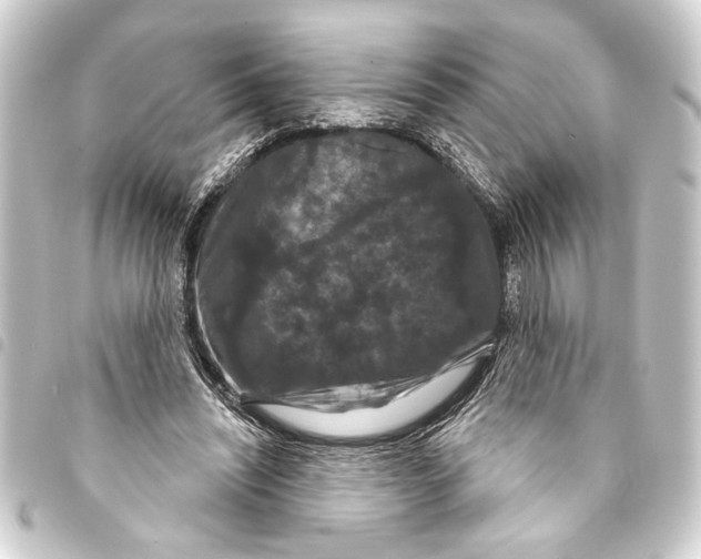 X0000093400444200711020938