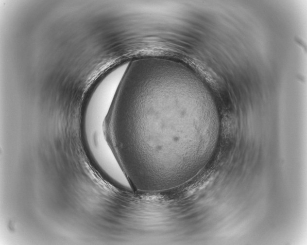 X0000093400446200711020938