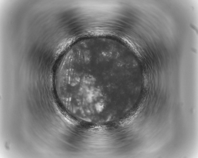 X0000093400447200711020938