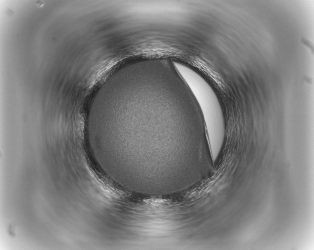 X0000093400448200711020938