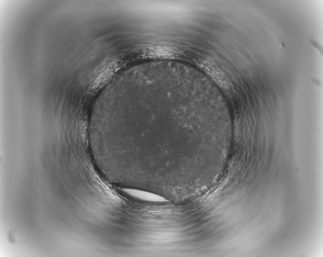 X0000093400449200711020938