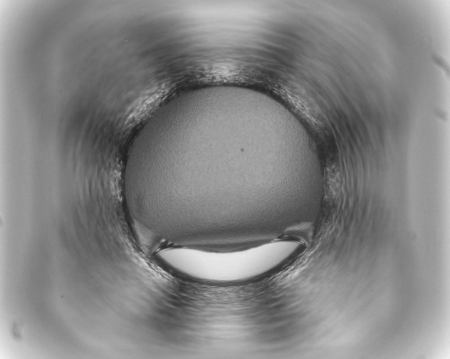 X0000093400450200711020938