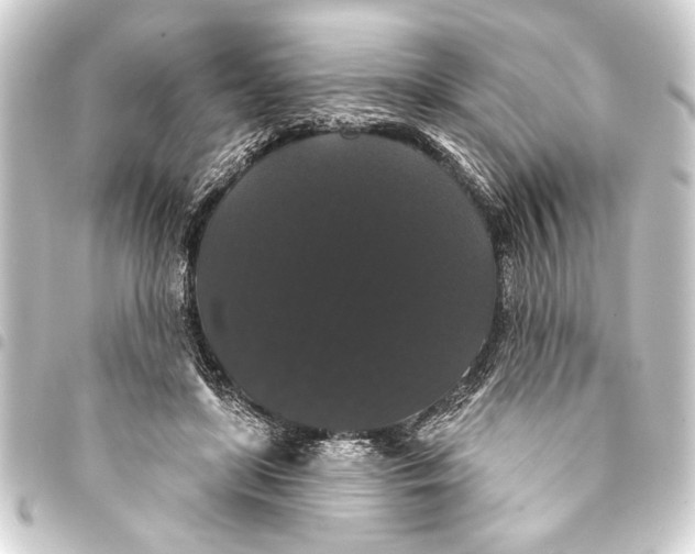 X0000093400451200711020938