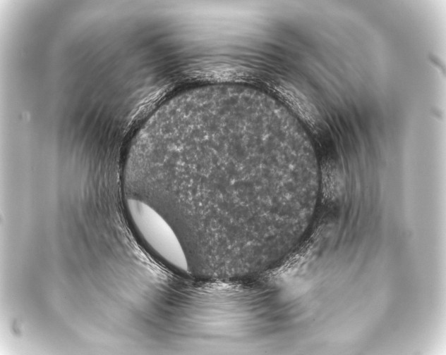 X0000093400453200711020938