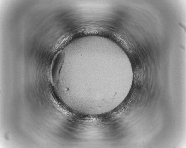 X0000093400454200711020938