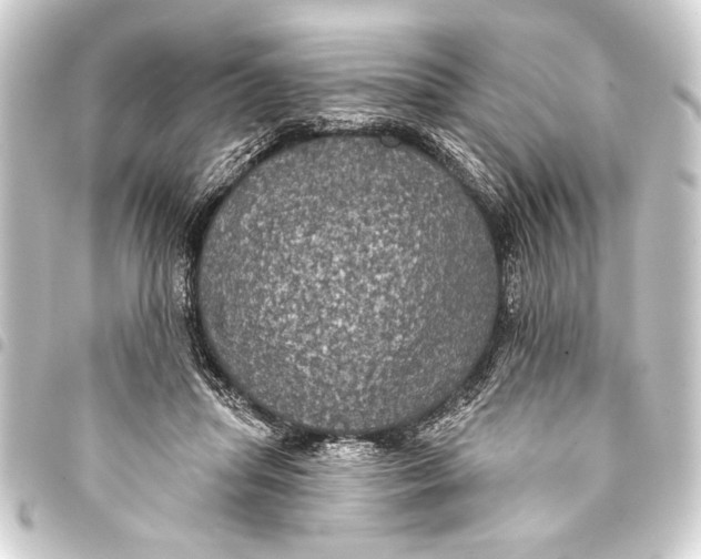 X0000093400455200711020938