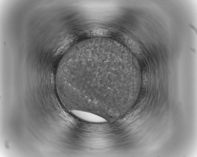 X0000093400457200711020938