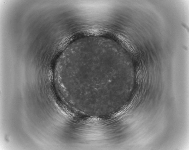 X0000093400459200711020938