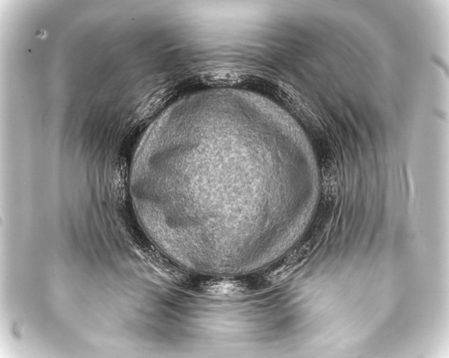 X0000093400460200711020938