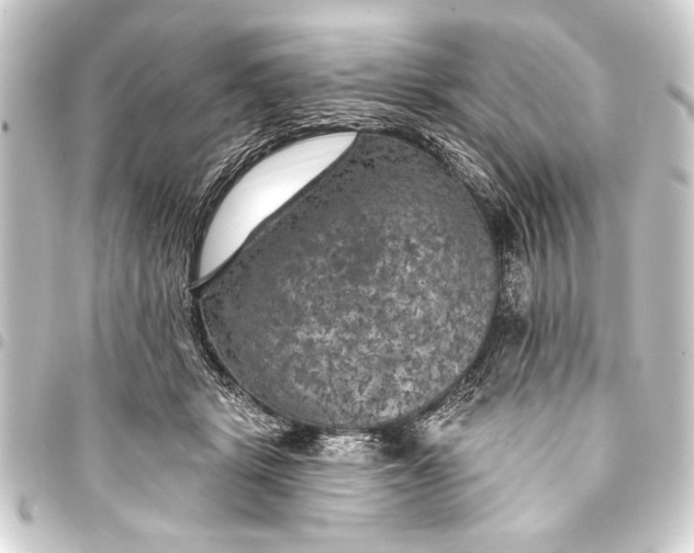 X0000093400461200711020938