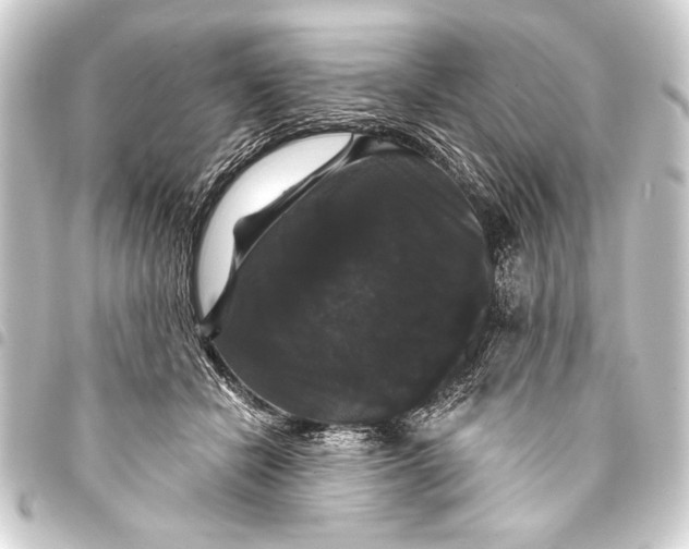 X0000093400462200711020938