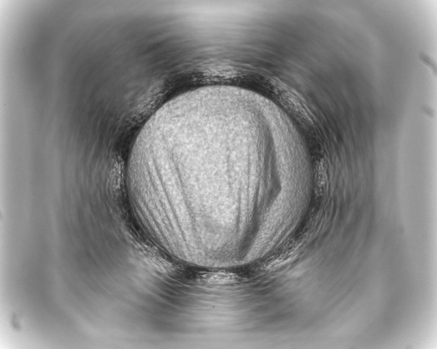 X0000093400463200711020938