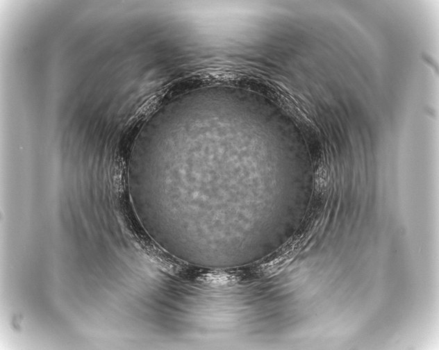 X0000093400464200711020938