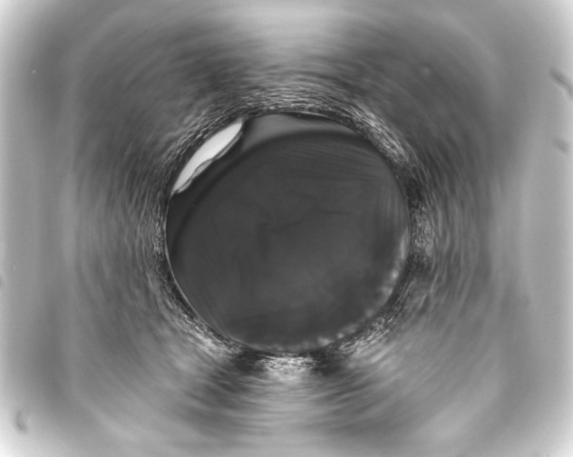 X0000093400465200711020938