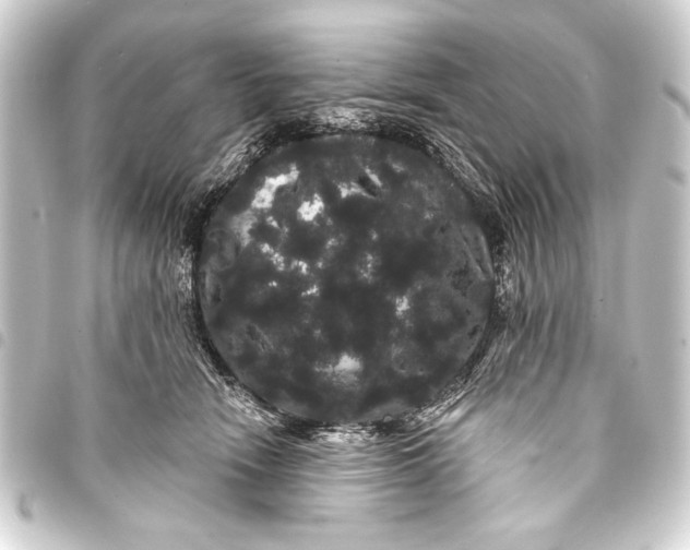 X0000093400466200711020938