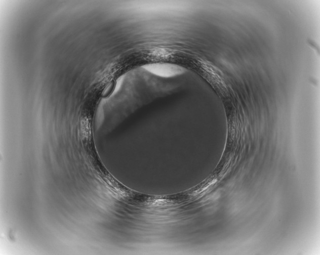 X0000093400467200711020938