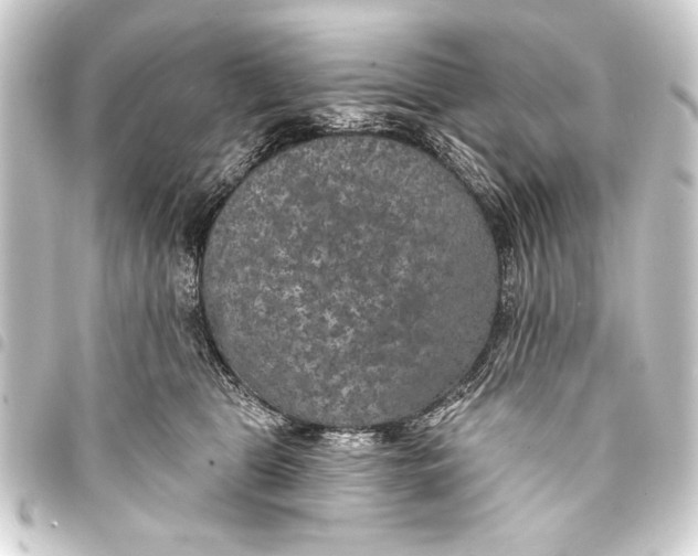 X0000093400469200711020938