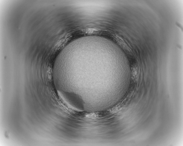 X0000093400470200711020938